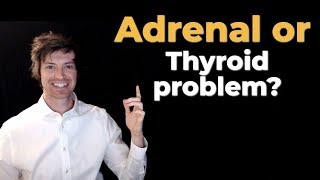 Adrenal Symptoms vs Thyroid Symptoms: Don't Get Confused