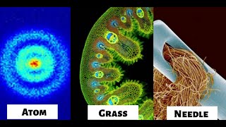 Objects Under An Electron Microscope ! (Part- 1)