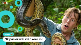 Freek Vonk ontdekt nieuwe slangensoort