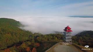 上山 大芦展望台からの雲海