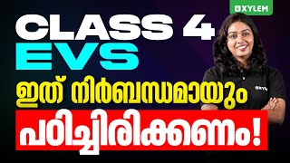 Class 4 | ഇത് നിർബന്ധമായും പഠിച്ചിരിക്കണം! | Xylem Class 4