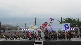 「浜松学生連鰻陀羅『祭煌頂』」犬山踊芸祭2019 ファイナル