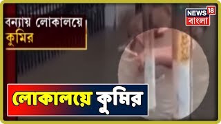 লোকালয়ে কুমির, অল্পের জন্য রক্ষা পেল সারমেয় ! আতঙ্কে ঘরবন্দি ভদোদরার বাসিন্দারা