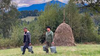 Life in the Carpathians! Full Immersion in a Mountain Village