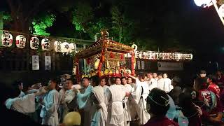 佐倉の秋祭り最終日、宮入り③