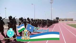 Ciidamada difaaca puntland