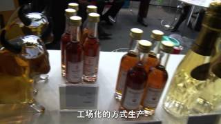 港葡萄酒代理创品牌攻神州