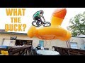 BMX OBSTACLE COURSE CHALLENGE! BMX OBSTACLE COURSE CHALLENGE!