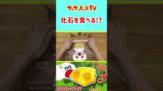 【恐竜】ティラノサウルスの化石を発掘して食べる！？★サンサンキッズTV★#shorts