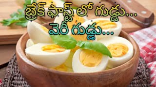 Egg break fast benefits||ఉదయం బ్రేక్ ఫాస్ట్ లో గుడ్డు తింటే ఇన్ని ప్రయోజనాలా? | vijjis world