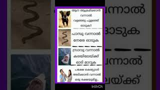 ശരിയാണോ കൂട്ടുകാരെ #shortsfeed #malayalam #comedy