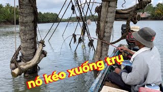 Bỏ Xuống Cá Đớp Ngay - Không Kịp Móc Mồi - Quá Hấp Dẫn Khi Câu Trên Dòng Sông Đầy Cá