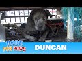 Senior blind Pit Bull waited his whole life for this rescue! Senior blind Pit Bull waited his whole life for this rescue!