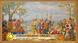 Herman Lindqvist: Här bedrev Sverige slavhandel och kolonisation - Nyhetsmorgon (TV4)