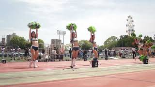 2023/05 Elecom Kobe Finies Cheerleaders