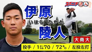 【22年スポニチ潜入⑦】大商大・伊原陵人　2022年アマ野球有力選手