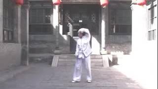 郭瑾刚 戴氏心意拳系列1 桩功 Guo Jin gang Dai shi Xin Yi quan 1 Zhuang gong