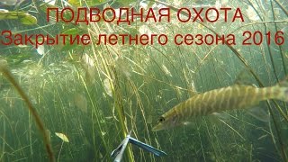 ПОДВОДНАЯ ОХОТА #1 Закрытие летнего сезона 2016