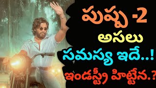 పుష్ప-2 అసలు సమస్య ఇదే.!| ఇండస్ట్రీ హిట్టైన? | లాభాలు ఉన్నాయ.! |#pushpa