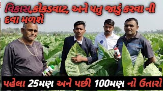 Tambaku ni kheti ||તમાકુ ની ખેતી માં પહેલા 25મણ અને પછી 100મણનો ઉતારો ||8160466316