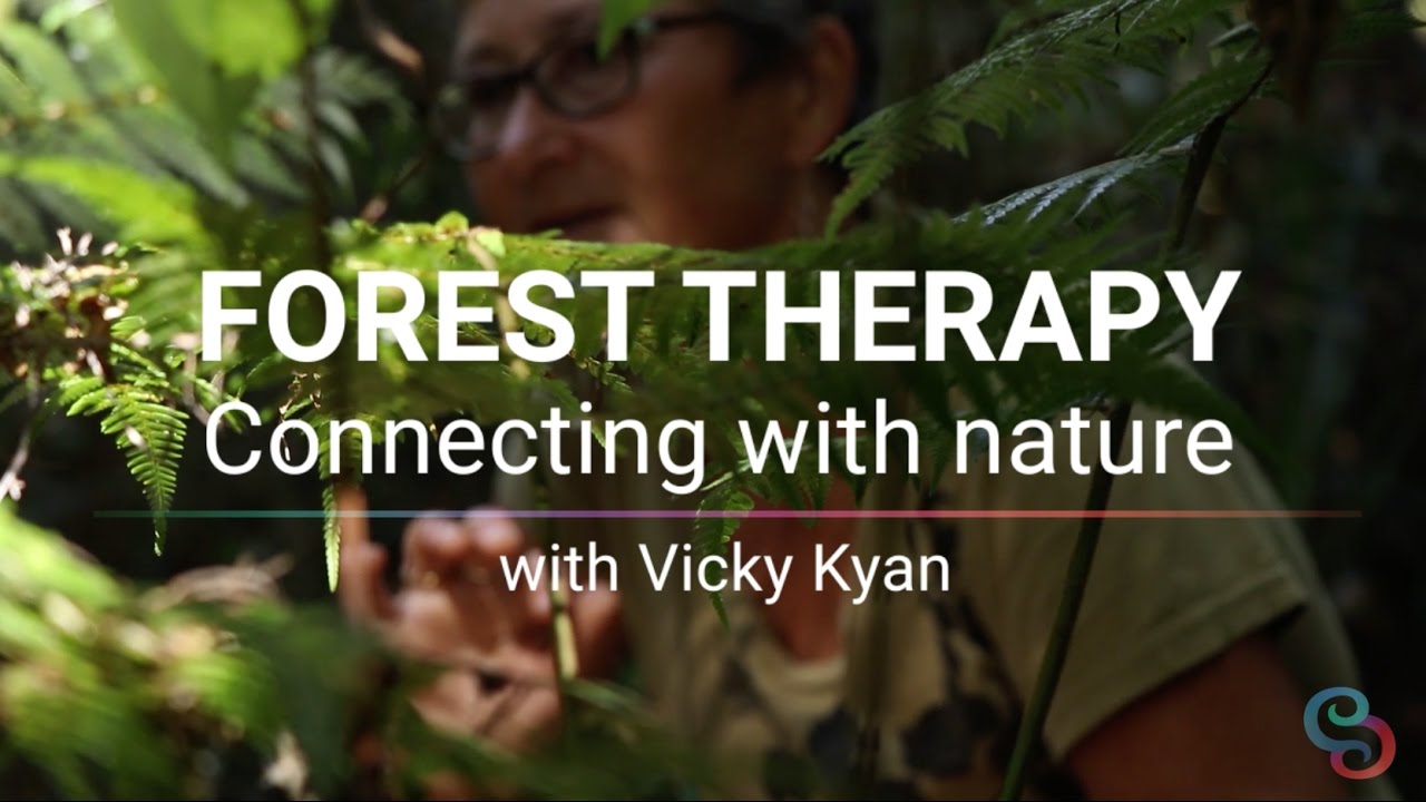 Forest Therapy: Connecting With Nature – With Vicky Kyan - YouTube