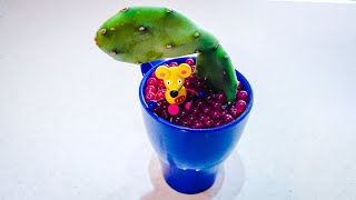 How to Propagate Opuntia ficus-indica Cactus | make miniature cactus pot