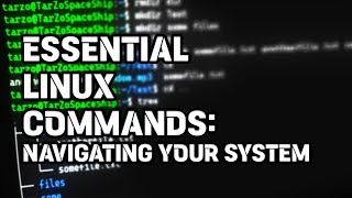 Do you know these commands? Easy Linux commands #linux #commands #terminal