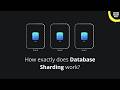 Database Sharding Easily Explained (under 20 minutes)
