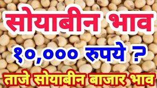 शेतकऱ्यांना खुशखबरः//सोयाबीनचे भाव 10000 हजारपर्यंत जाणार//#soybean_bhav_today_live //soyabin bhav