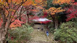 室生寺