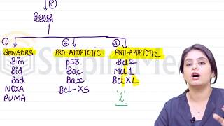 Apoptosis by Dr. Preeti Sharma