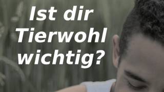 Ist dir Tierwohl wichtig?