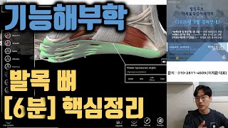 6-1. [3D해부학 어플] 발목 뼈 핵심정리 [6분 요약] | 기능해부학 및 촉진기법 |힐링무브 |essential anatomy