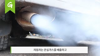 자동차 기업들이 일으킨 기후위기