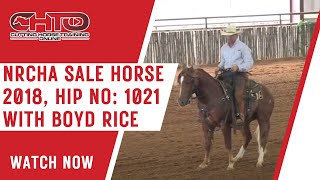 NRCHA Sale Horse 2018, Hip No: 1021 with Boyd Rice