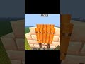 Magic Armor Equipper In Minecraft #minecraft #shorts