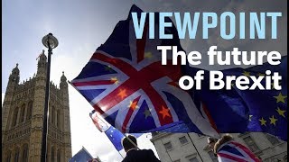 The future of Brexit — interview with Daniel Hannan | VIEWPOINT