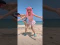 海ではしゃいじゃうアーニャ達【在小小的花园里】を踊るspy×family cosplay