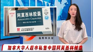 22年以来第一家！新华信托宣告破产｜违约潮一触即发？加拿大五大银行拉响警报｜震惊全国！加拿大房东枪杀情侣租客｜加拿大华人超市私售中国阿莫西林被查#国际新闻#温哥华新闻#北美新闻#vansky