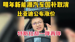 一个月后国家补贴取消，比亚迪公布涨价！特斯拉会逆势降价吗？