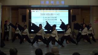 京炎そでふれ！京躍華　～京都さくらよさこい2012(ゼスト御池)