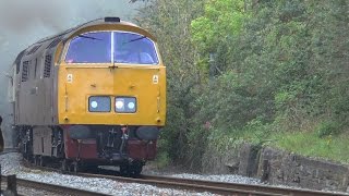 Western Champion Roars Up To Exeter Central , 7th May 2016