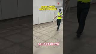 狗狗進入地鐵站，被保安大哥拎起就走；狗狗：我就進來吹個空調  #真實事件 #奇聞趣事 #新聞 #shorts