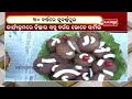 subarnapur district administration organized rahagiri as district completes 30 years kalingatv