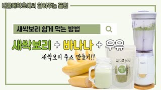 요즘 가장 핫한 슈퍼푸드 '새싹보리' 맛있게 건강하게 먹는 방법