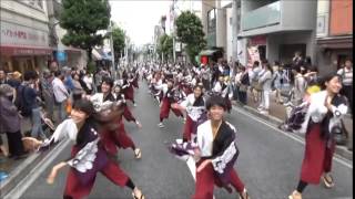 【下駄っぱーず】三茶よいしょ祭り　festivo①