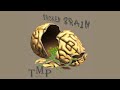 Broken Brain - The Mastro Project