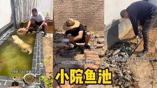 有关于我们小院的鱼池 | 设计 建造 重建 | 到现在成为毛孩子的游乐园