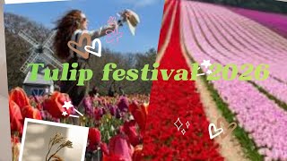 “Hidden Gem in England | Hertfordshire Tulip Festival Guide”