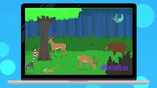 ব্যাখ্যাকারী ভিডিও Bengali language - বাংলা ভাষা